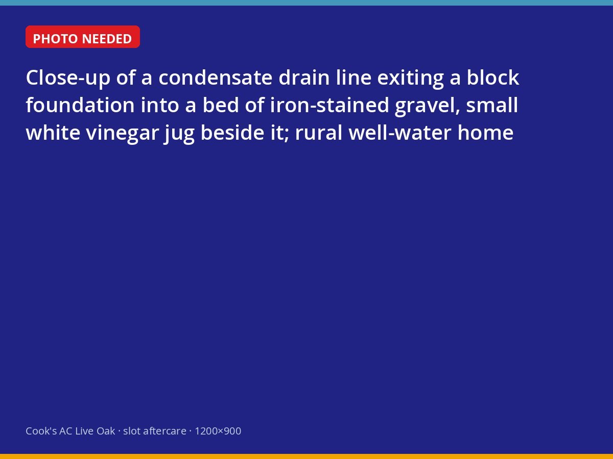 Condensate drain outlet stained orange by iron-rich well water at a Suwannee County home