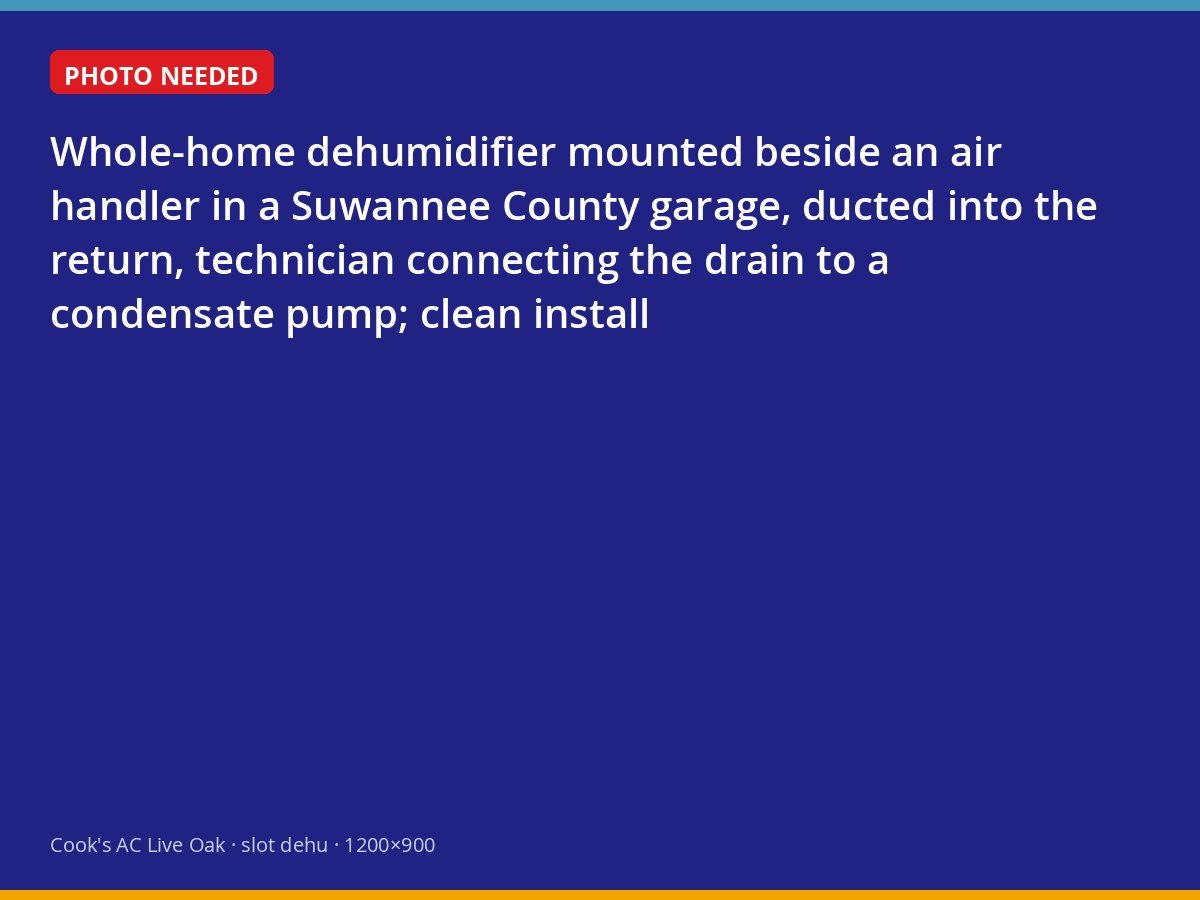 Whole-home dehumidifier installed beside an air handler in a Live Oak garage