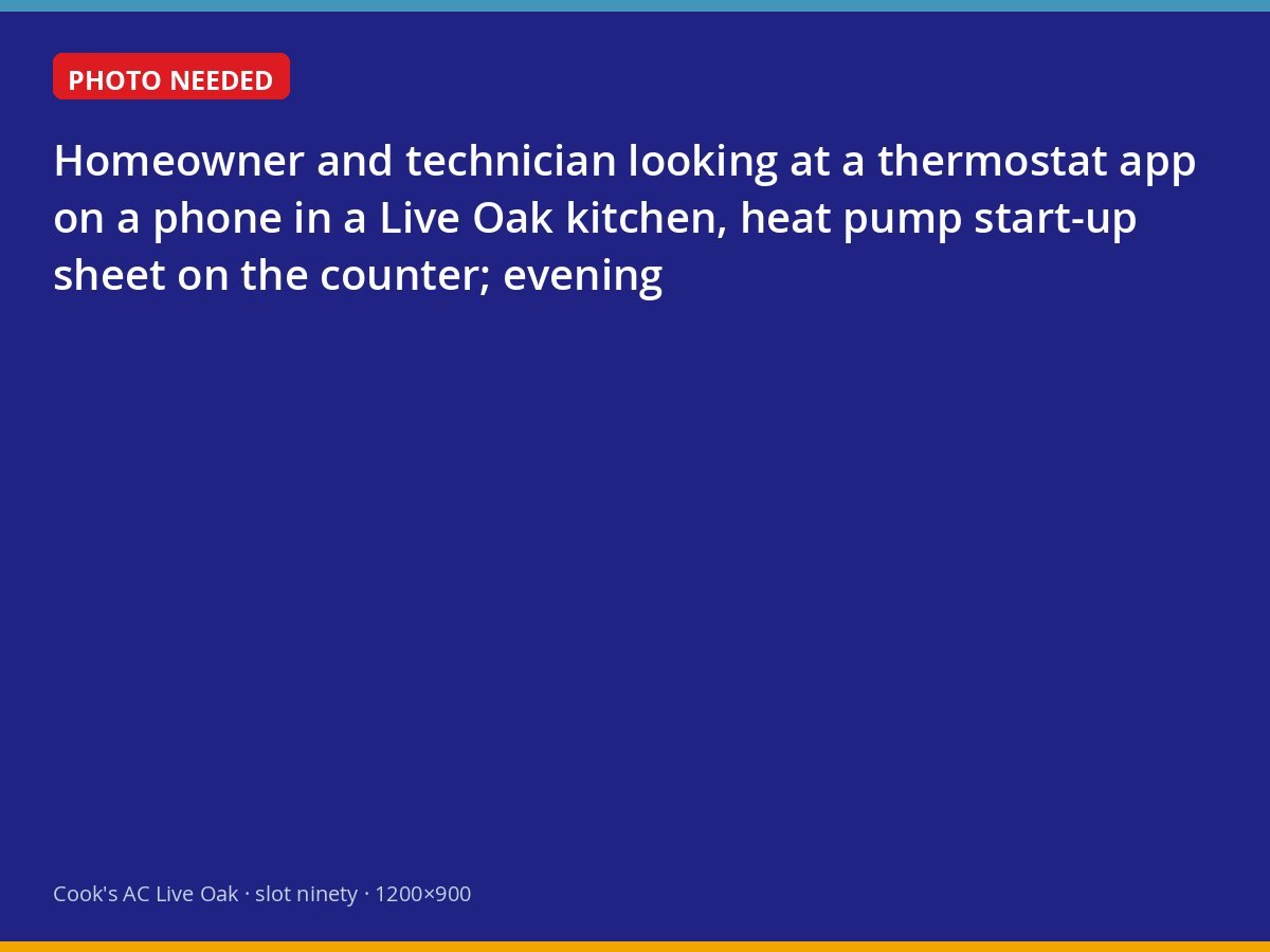 Reviewing heat pump settings on a phone after installation in Live Oak